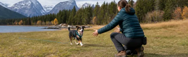 Teaching Dogs a Reliable Recall Without Relying on Punishment