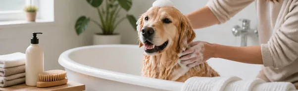 Dog being gently bathed at home with dog-formulated shampoo
